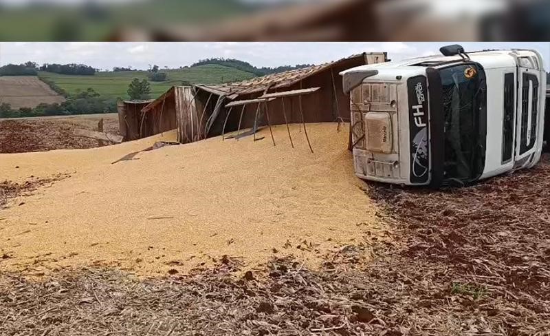 Carreta com placas de Vilhena transportando 35 toneladas de milho tomba em lavoura no interior do Paraná mobiliza até helicóptero