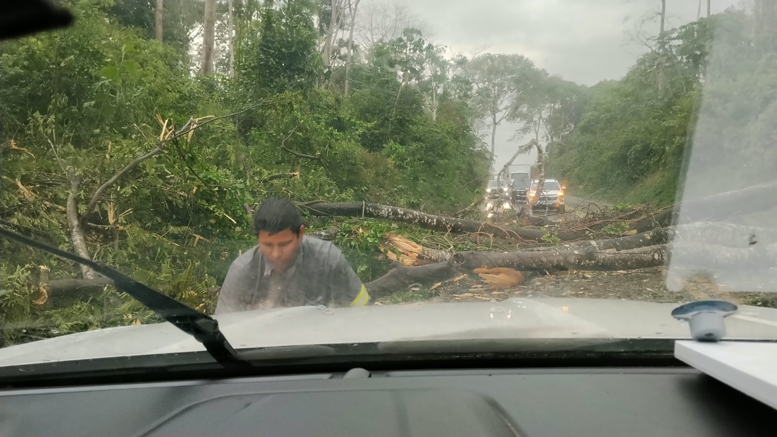 ASSISTA VÍDEOS: forte vendaval derruba árvores e interdita rodovia federal que liga Mato Grosso a Rondônia