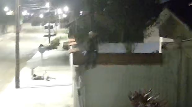 ASSISTA VÍDEOS: durante a madrugada, ladrão invade quintais e entra dentro de uma das casas, em Vilhena