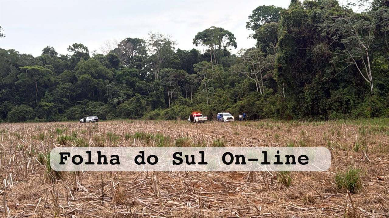 Corpo encontrado dentro de lavoura nas proximidades de Vilhena havia sido parcialmente devorado por animais