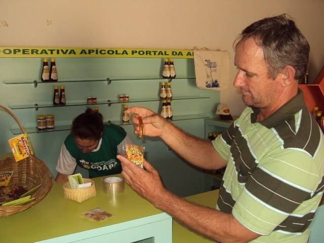Em um ano, cooperativa vai fornecer 9 toneladas de mel a escolas do Cone Sul
