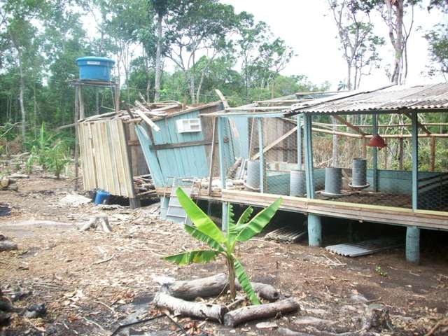 Rajadas de vento arrasam criação de aves e destroem propriedade em Vilhena