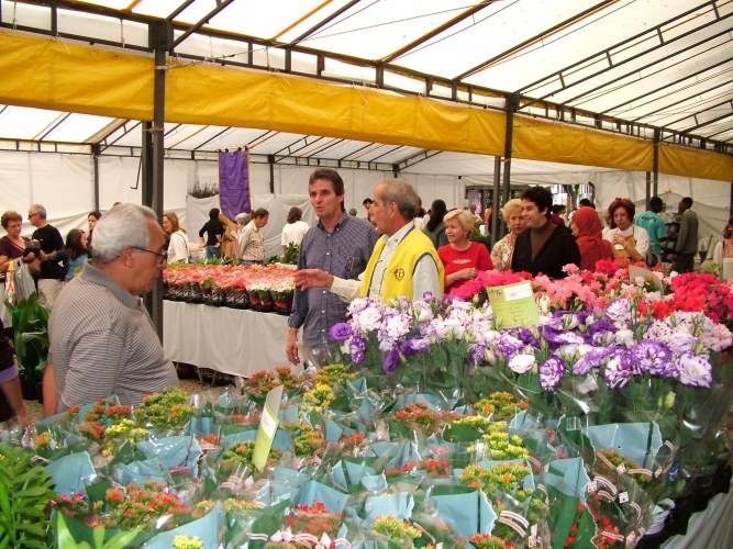 VILHENA TERÁ EXPOSIÇÃO DE FLORES