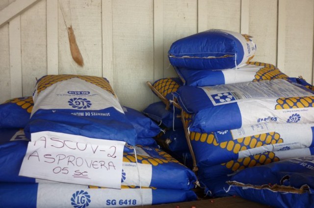 Pequenos agricultores de Vilhena e Colorado recebem milho e arroz