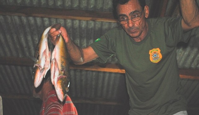Ibama flagra carro com 800 kg de peixe em Vilhena, mas libera carregamento