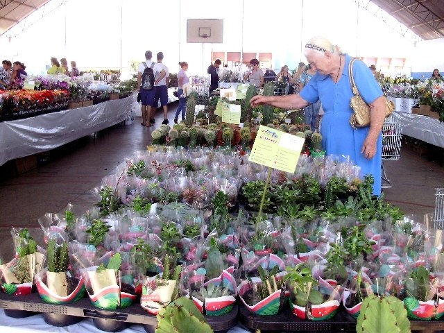 Feira de Flores começa em Vilhena oferecendo variedades e preços populares