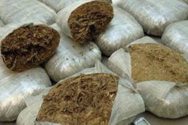 Polícia prende jovem que trazia 61 quilos de maconha em ônibus para Rondônia