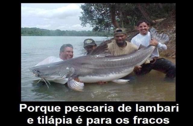 Imagens que mostram a “macheza rondoniense” viram febre na internet
