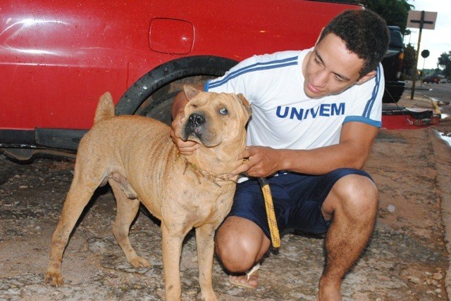 Aparece dono de cachorro cego resgatado por Bombeiros em de cova em Cemitério