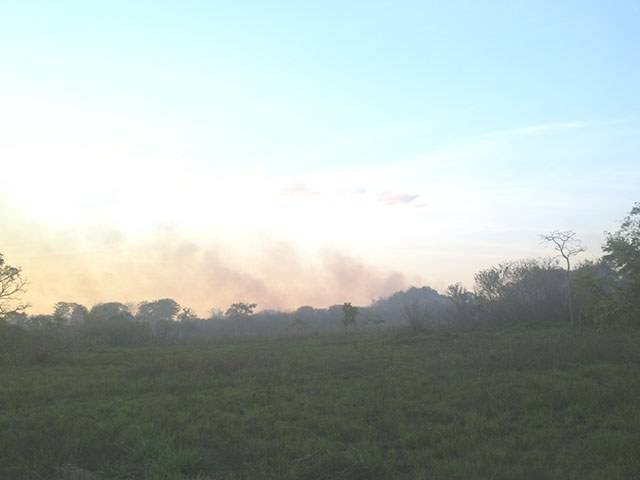 INCÊNDIO CONSOME VEGETAÇÃO EM RESERVA DA FORÇA AÉREA
