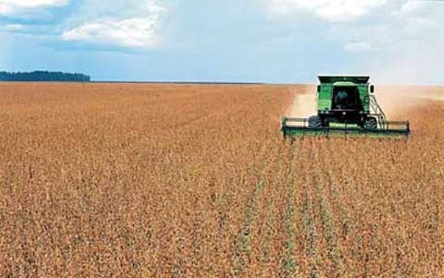 Preço da soja em alta leva agricultores a fazer mutirões de colheitas em Vilhena