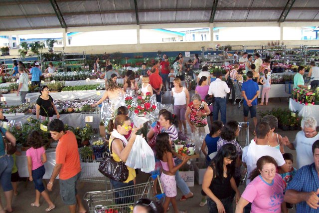 FEIRA DE FLORES  TERMINA NESTE DOMINGO