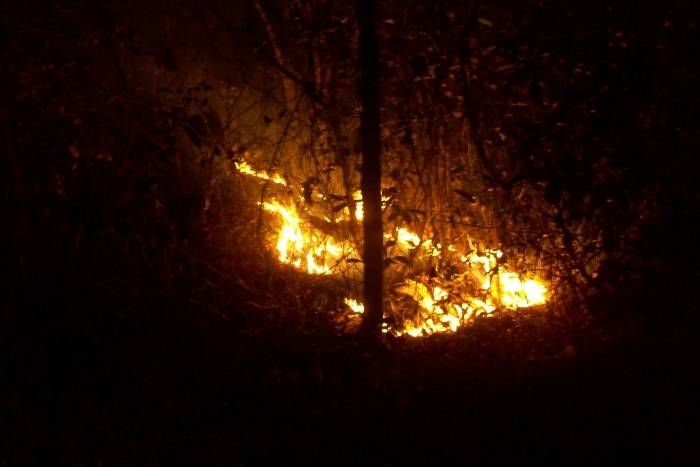 INCÊNDIO NA ESTRADA DE JUÍNA