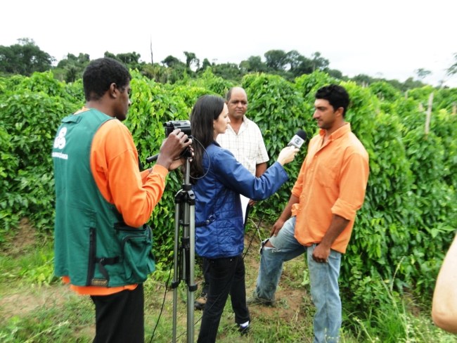 Programa Globo Rural vai mostrar produção de inhame em município de Rondônia