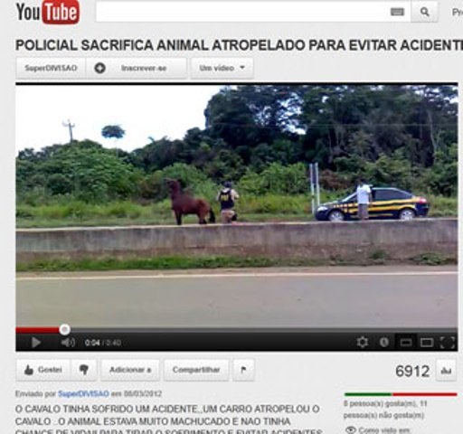 Video de policial matando cavalo em Rondônia cai na Internet; PRF investiga