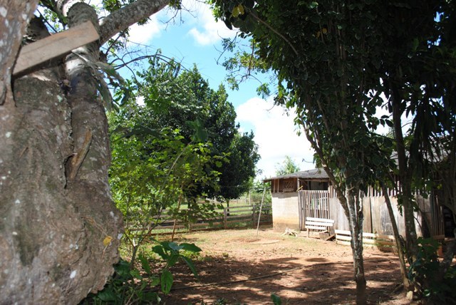 Vendedora tem casa atingida por raio em Vilhena e diz que escapou “por milagre” 