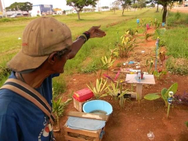Paisagista que ajudava a florir ruas da cidade diz que está sendo perseguido