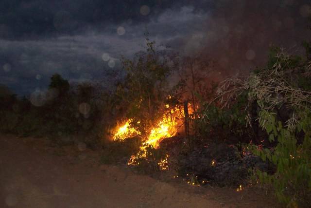 FOGO PODE TER ATINGIDO ÁREA EQUIVALENTE A 6 CAMPOS DE FUTEBOL