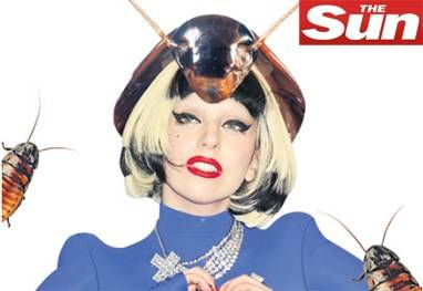 Lady Gaga encomenda chapéu com baratas vivas