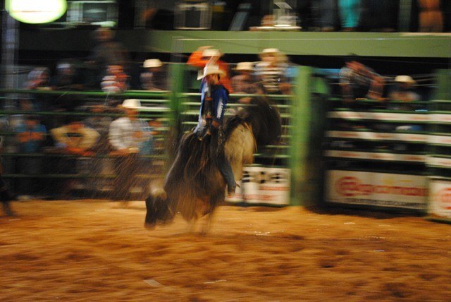 Primeira noite de rodeio profissional lota arquibancadas da Expovil