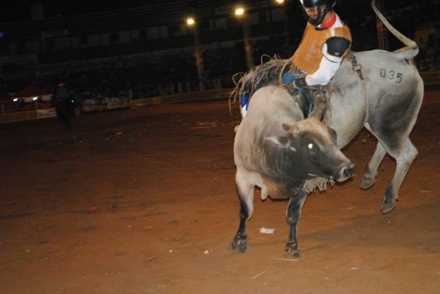 Expovil 2012: segunda noite de rodeio profissional teve 21 montarias