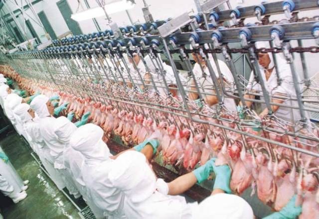 Construção de frigorífico vai transformar Vilhena em polo de avicultura em RO