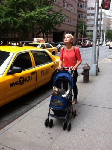 Xuxa passeia por ruas de Nova York com seu cãozinho em carrinho de bebê 