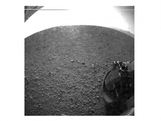 RASTRO DE VIDA