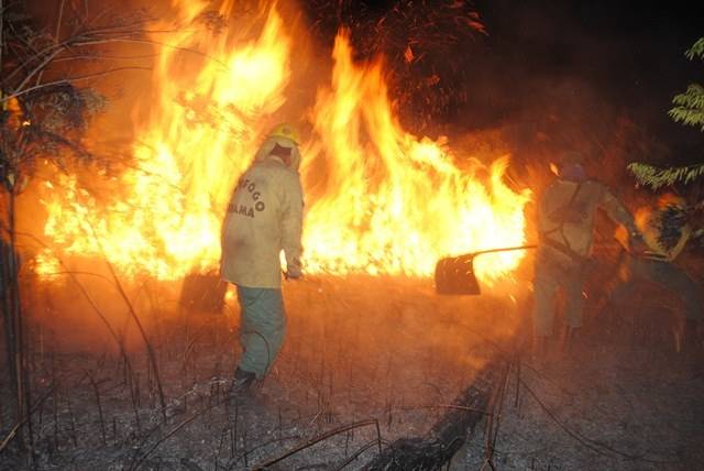 Fogo nos arredores de Vilhena mobiliza Bombeiros e brigada contra incêndio