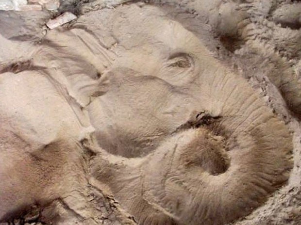 IMPRESSÃO NA AREIA