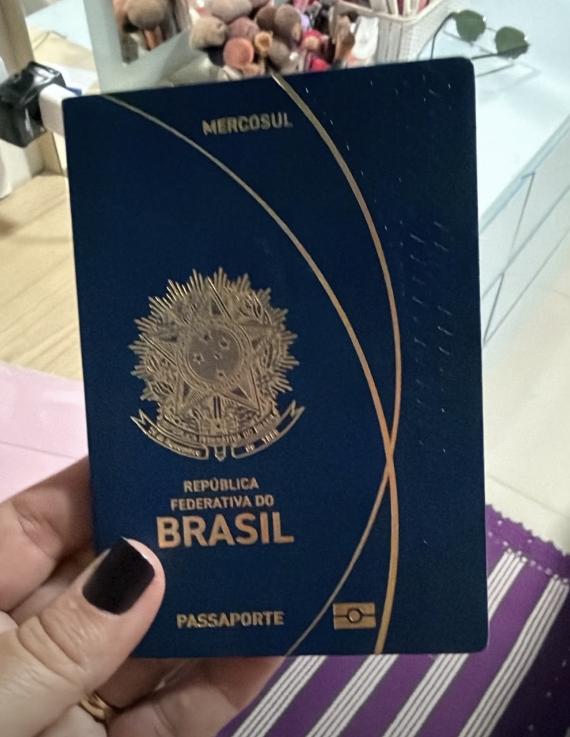 Passaporte perdido